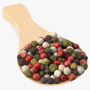 Dried Peppercorns Mix with Wooden Spoon 3D model