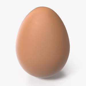 Brown Chicken Egg 3D