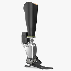 3D Prosthetic Ankle System BiOM model