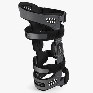 3D model BREG Knee Brace