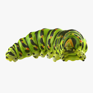 3D Caterpillar Pose 4 model