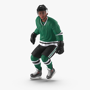 3D Hockey Player Generic Rigged model