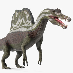 Spinosaurus Dinosaur Green Basic Pose 3D