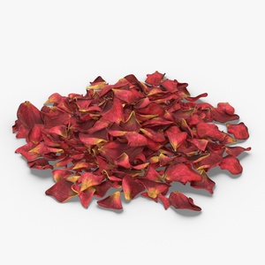 Dried Rose Petals Pile 3D