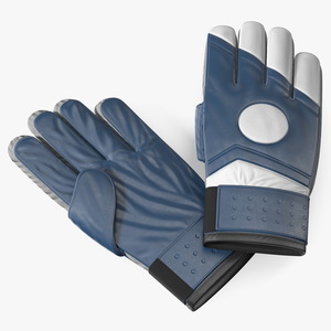 Soccer Goalkeeper Gloves 3D model