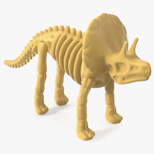 3D Triceratops Dinosaur Skeleton Toy model