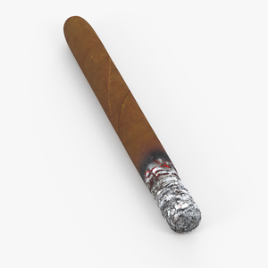 Cuban Cigar Long Burning 3D model