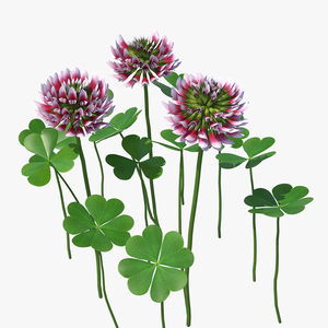 3D model Blooming Red Clover Field