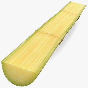 3D model Green Sugarcane Half Cut Piece