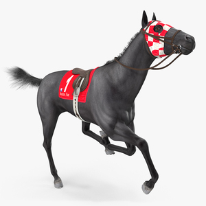 3D Black Racehorse Fur Rigged