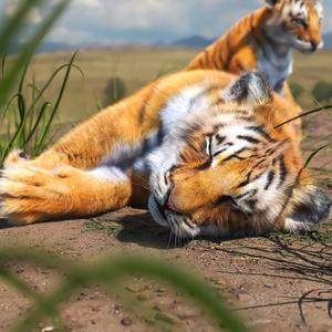 Tiger Cub Sleeping Fur 3D