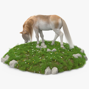 3D Pony with Long Mane Grazing in a Meadow Fur model