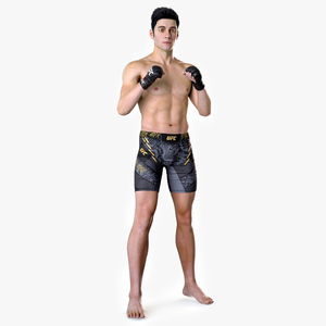 3D Fighter UFC MMA in Fighting Stance Fur model