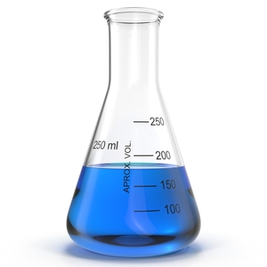 3D 250 ml Erlenmeyer Flask model