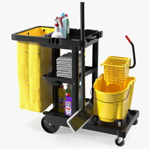3D Cleaning Cart With Mop and Cleaning Products Fur model