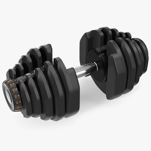 3D model Dial Weight Adjusting Dumbbell