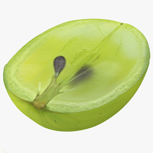 Green Grape Cross Section 2 3D