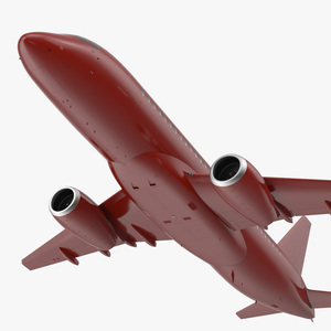 Regional Jet Flight 3D model