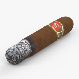 Cigar Punch Short De Punch Burning 3D model