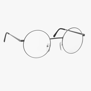 Glasses 3D model