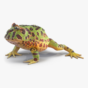 3D Pacman Frog Pose 2 model