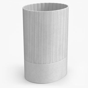 3D model Cylindrical Chef Hat