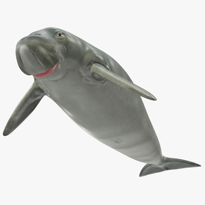 3D model Dugong