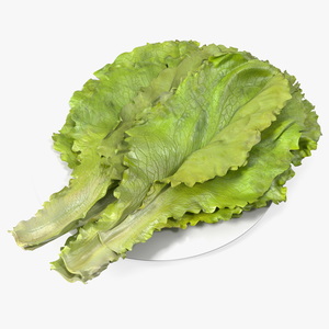 3D Lettuce Leaves on Plate model