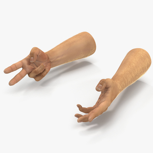 Man Hands 2 with Fur Rigged 3D