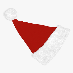 3D Santa Claus Hat Lying on Surface Fur