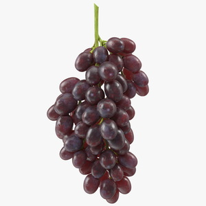 Cluster of Dark Grapes 3D