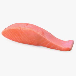 Raw Salmon Fillet 3D