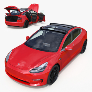 Tesla with Roof Rack Rigged 3D