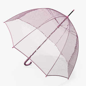 3D model Pink Clear Bubble Umbrella Wet