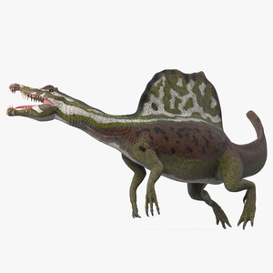 3D model Dinosaur Spinosaurus Green Swimming Pose