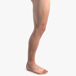 Realistic Asian Male Leg 3D model