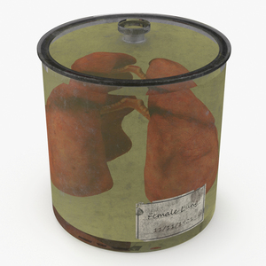 3D Human Lungs in Old Glass Jar model