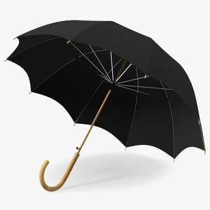 Auto Open Black Umbrella 3D model