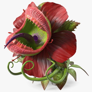 Angry Plant Monster 3D model