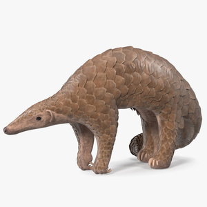 3D model Pangolin Rigged