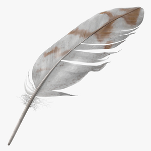 3D Pheasant Feather