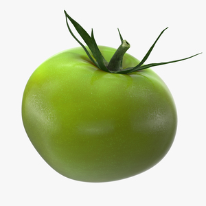 Green Tomato 3D