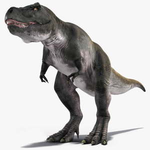 3D T Rex Idle Animated Rigged