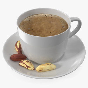 Coffee Cup with Brazil Nuts 3D