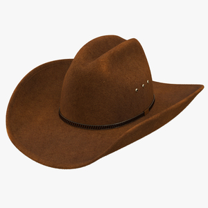 3D model Cowboy Hat