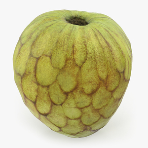 3D model Cherimoya or Annona Cherimola Fruit