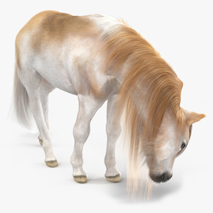 3D Pony with Long Mane Grazing Fur