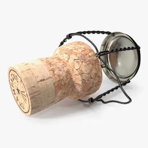 Champagne Bottle Cork Lying Dark Wire 3D