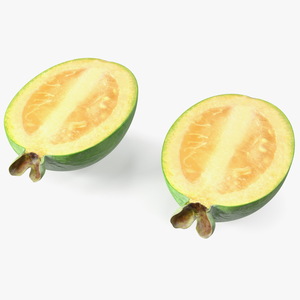 Feijoa Fruit Cut Along 3D