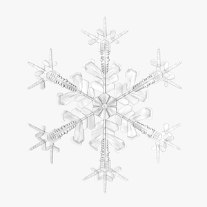 3D Snowflake 4